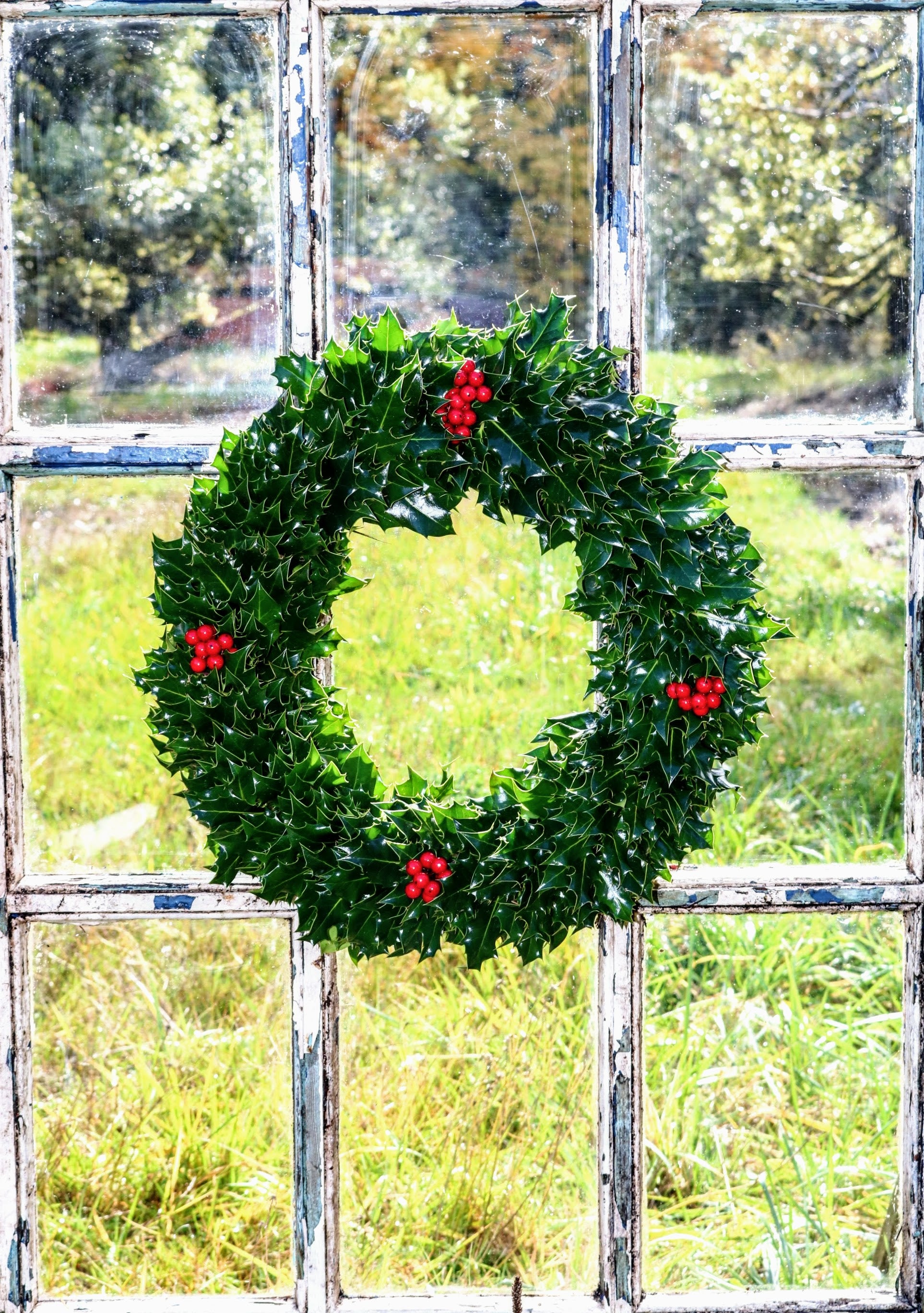 English Green Holly Wreath image 0