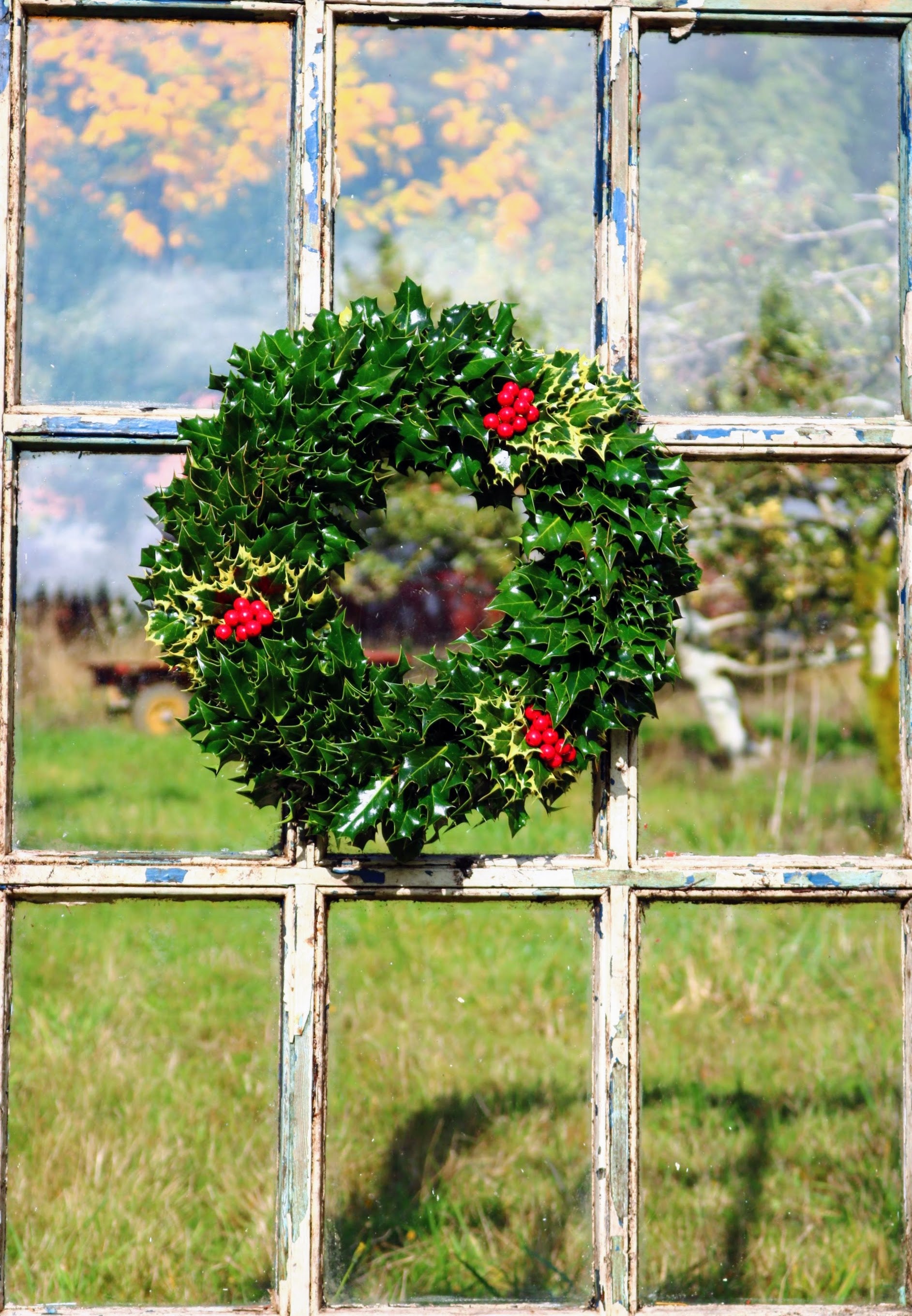 Green Holly Combo Wreath image 0